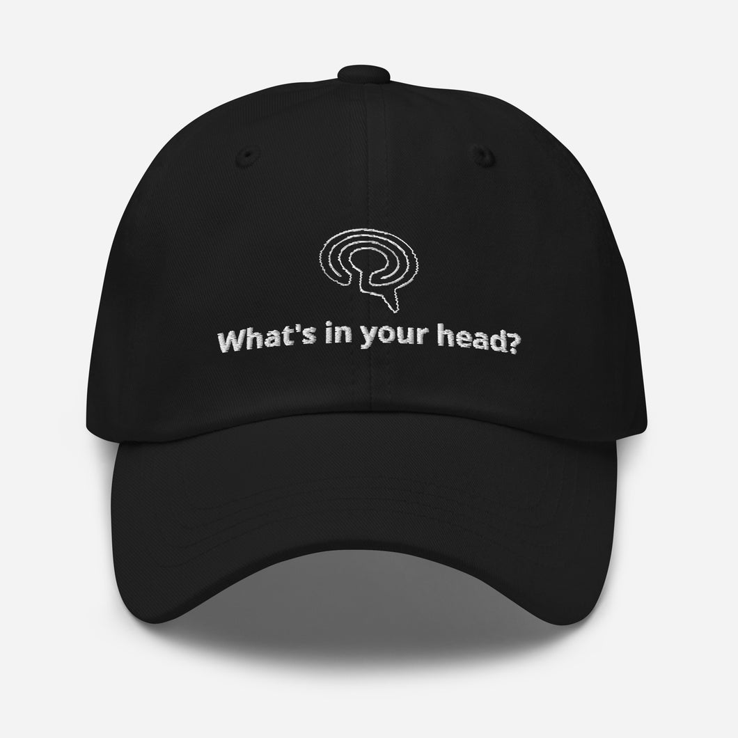 Labyrinth Brain: What's In Your Head?