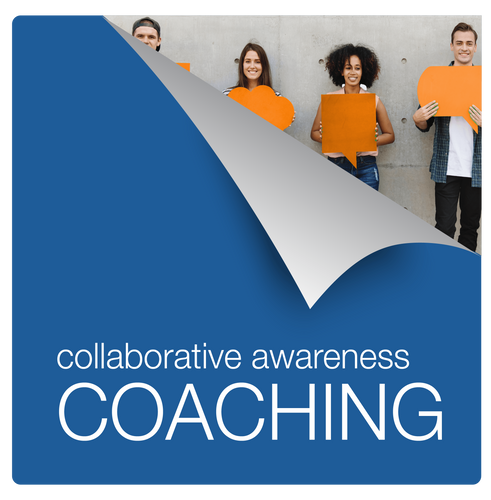 INDIVIDUALS: Clear Mind Collaboration Coaching